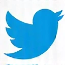 Twitter icon